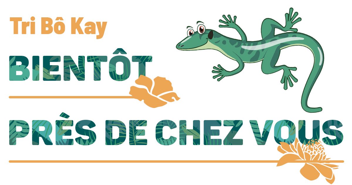 #TRIBÔKAY Mardi 18 janvier à Grand-Rivière, port de pêche quartier Lave 
Mercredi 19 à Macouba au parking du stade, quartier Guérin. Jeudi 20 à Basse-Pointe, place des fêtes. Vendredi 21 à Sainte-Marie, salon de recueillement Cité Villeneuve
Samedi 22 : Stade du Morne des Esses.