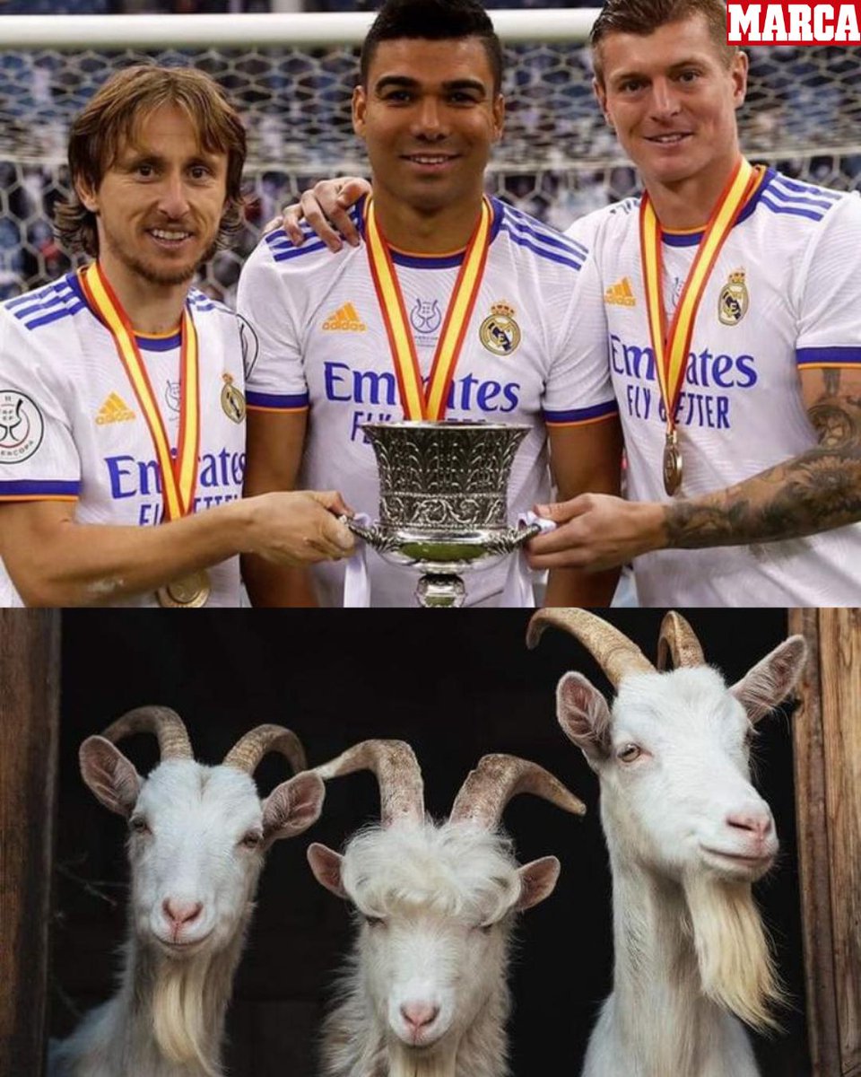 MARCA tweet media