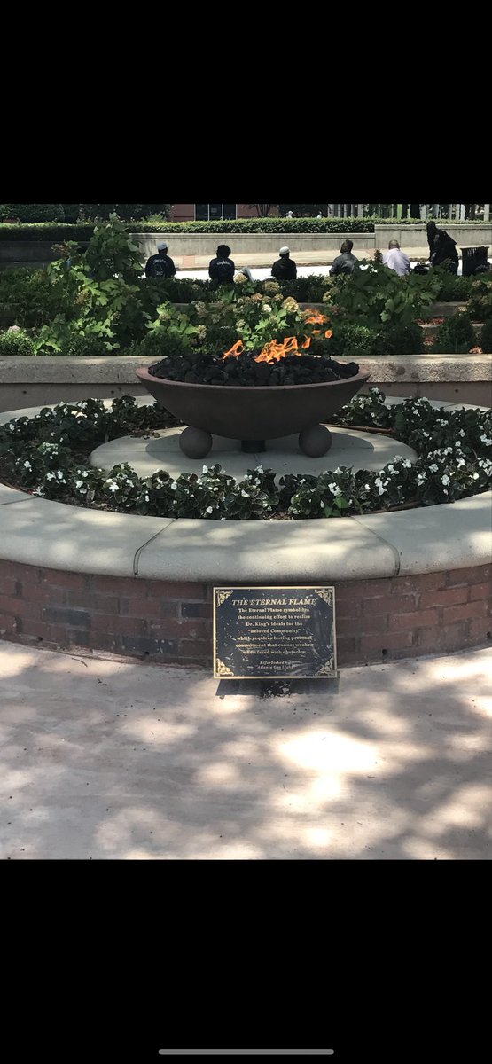 Luis Torres tweet media