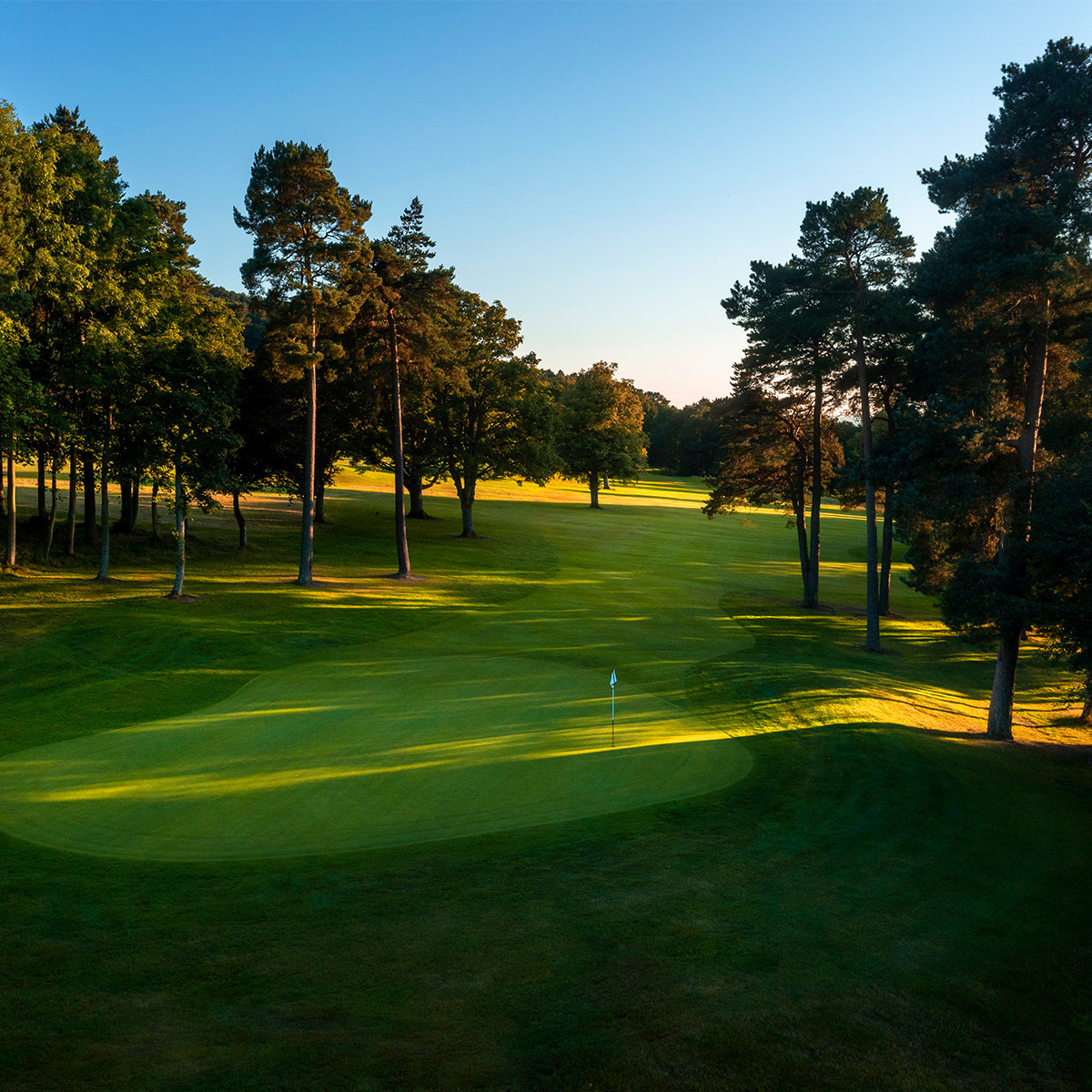 Murrayshall's tweet photo. Entries are now live for the following Open events.
• Seniors Open 4/7/22
• Ladies Open 9/7/22
• Gents Open 24/7/22
Open to members and non-members.
To enter & view full competition details click the link below. 👇
https://t.co/MOQQaM5voT
#opengolfevents #golfperthshire https://t.co/8PWfOQFMrG