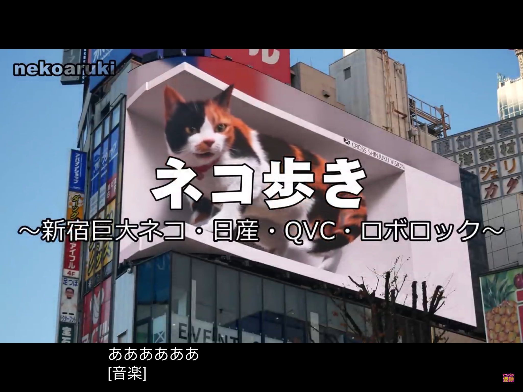 大耳朵猫妹on Twitter 我投屏看新宿的巨大猫 我猫居然也在看 看到电视里的猫站起来时 她也跟着站起来 差点要扑过去打了 T Co Yzgabbifmk Twitter