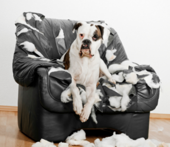 FrogFinancial's tweet image. Does your home insurance cover the things that matter most to you?

Make sure to read the fine print, as you may be in for nasty shock when you come to claim:

frog-financial.co.uk/insurance/home…