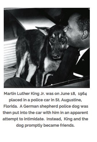 domdyer70's tweet photo. A dog can always sense a good person #MartinLutherKing https://t.co/oQxLMfPBtE