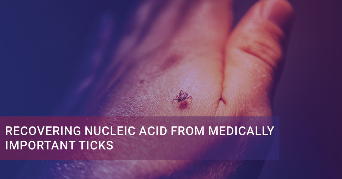 OmniInc's tweet image. Authors compared maceration level as well as nucleic acid quality and quantity, amplification, and DNA shearing from medically important tick extractions. Info about the research here: bit.ly/3A5kCO6 #homogenizer #science #homogenizing #ticks #nucleicacid #research