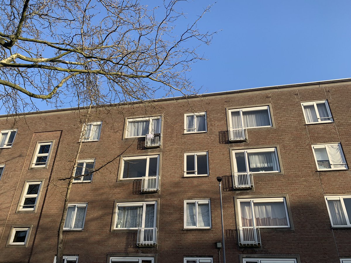 HedyvandenBerk's tweet image. Bestuurlijk overleg zoals altijd lekker buiten: niks #BlueMonday met @BasKurvers en @Verbindingkamer in het zonnetje in @BospolderT over sociaal &amp;amp; fysiek in de integrale gebiedsopgave