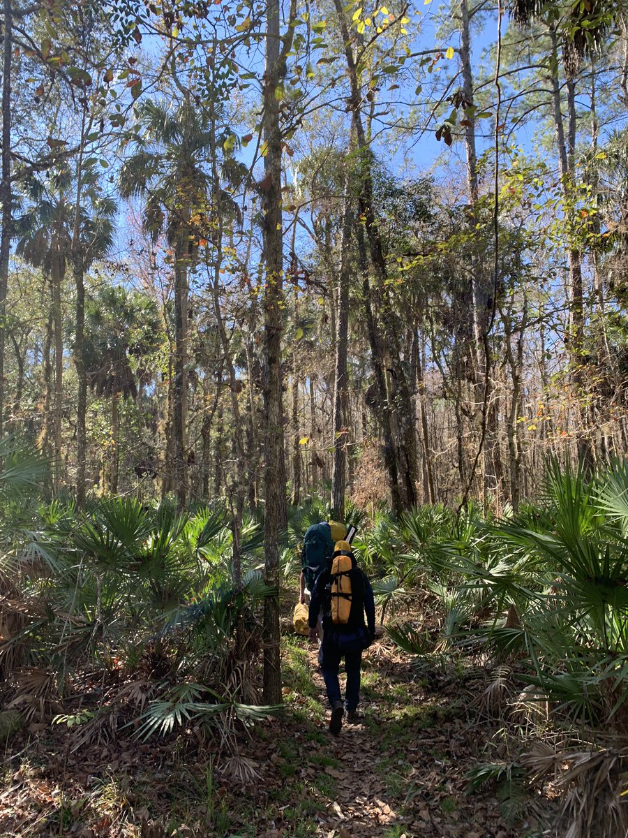 TurfBeard's tweet photo. 4 pics isn’t really fair to show off how much fun this weekend’s backpacking camp was with @pants_andy @kevincoulson and Twitterless Mike.  #tecntcamping #natureshit #gooutside #rei #lloydclark https://t.co/3C1rTTKVRd