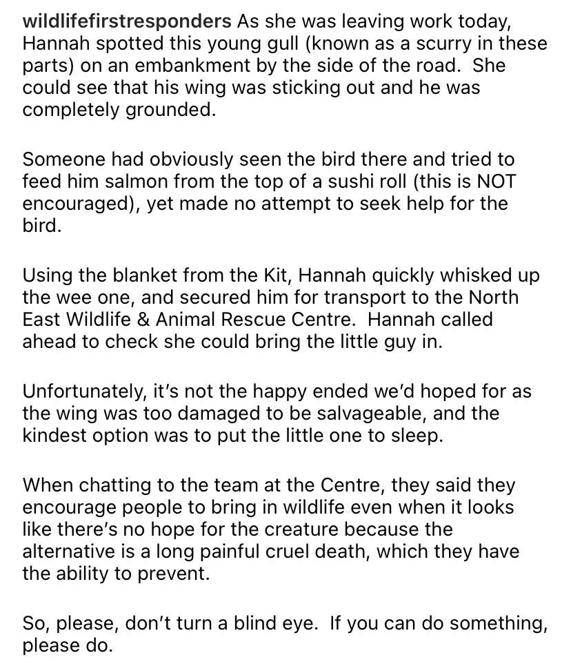FirstWildlife1's tweet photo. Please don’t turn a blind eye ➡️
#wildlife #FirstResponders #firstresponse #nature #animals #birds #nolifetoosmall #dignityforall #Veganuary https://t.co/85x4PTdUxq