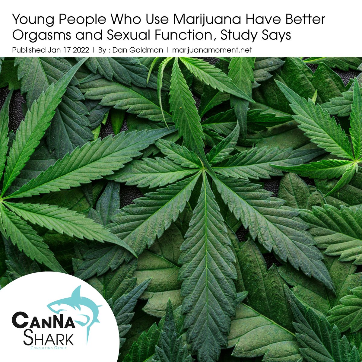 cannashark's tweet photo. Young people who smoke marijuana and drink alcohol have better orgasms and overall sexual function than their peers who abstain or use less, a study in Spain recently concluded. https://t.co/76WkAE0SWB