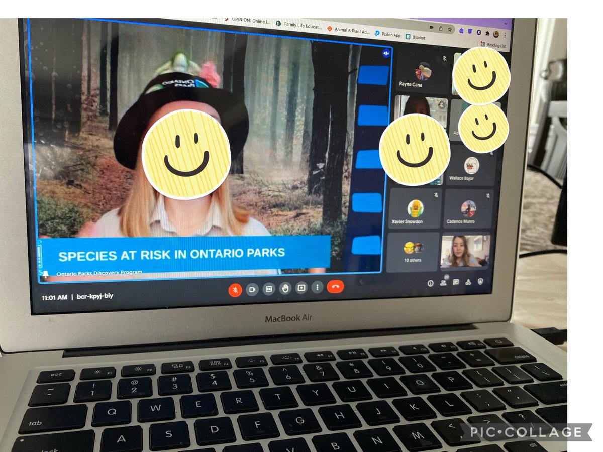 Thank you Jessica Drake from <a href="/OntarioParks/">Ontario Parks</a> for an informative virtual workshop on species at risk in Ontario. The fantastic fours will be creating their posters this week to bring awareness to how we can help endangered species in Ontario.