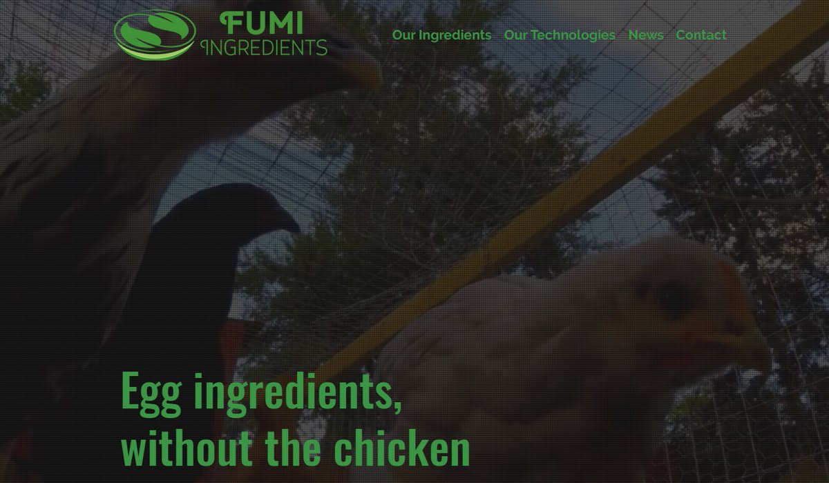 BringsTheRing's tweet image. A different @Fumi is speaking on the @GoodFoodInst #AlternativeProtein webinar. #AgTech #AgInvestors   fumiingredients.com