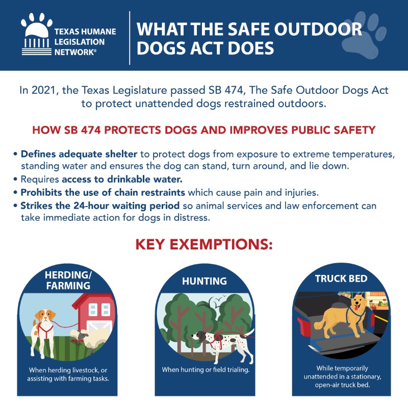 AIRresponders's tweet photo. Today is a big day not only for Texas law, but dogs across the state as the #SafeOutdoorDogs Act goes into effect. 👏 What does this mean for Texas dogs? Check out the resource guide from @THLNTX that breaks down this new law and what that means for dogs in 2022!