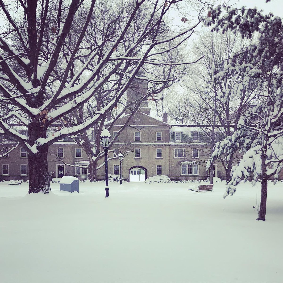 Melinda Scott tweet media