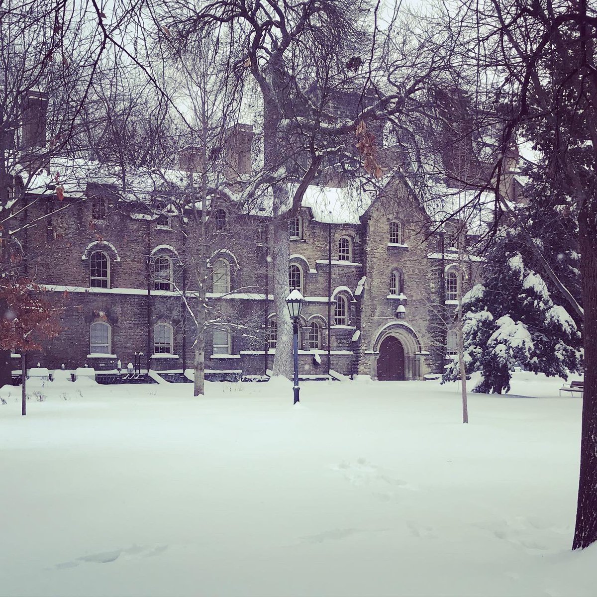 Melinda Scott tweet media