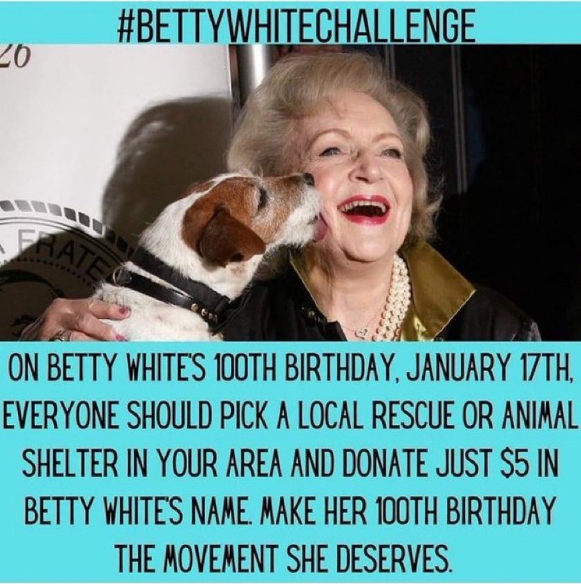 #BettyWhiteChallenge ter gedachtenis aan de talentvolle Betty White hebben we € 5,00 overgemaakt aan een dierenasiel ❤️
