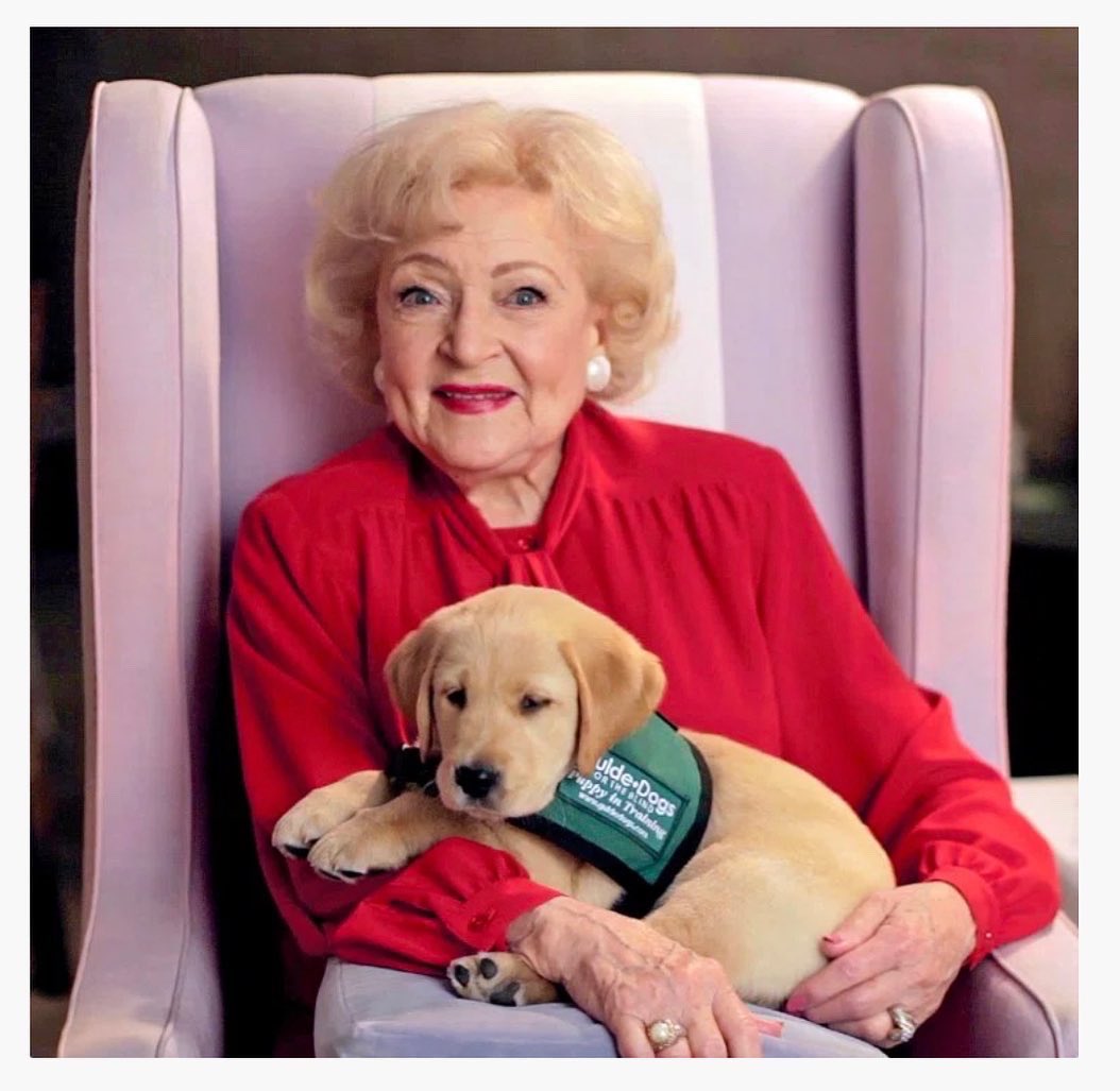LinaBeccherini's tweet photo. Happy 100th Birthday in heaven to an angel 👼🏼❤️. Today , we honoured you with a donation to Animatch dog rescue ( the amazing people who saved my life ) #BettyWhiteChallenge #animatch https://t.co/xbtQm8JpRY