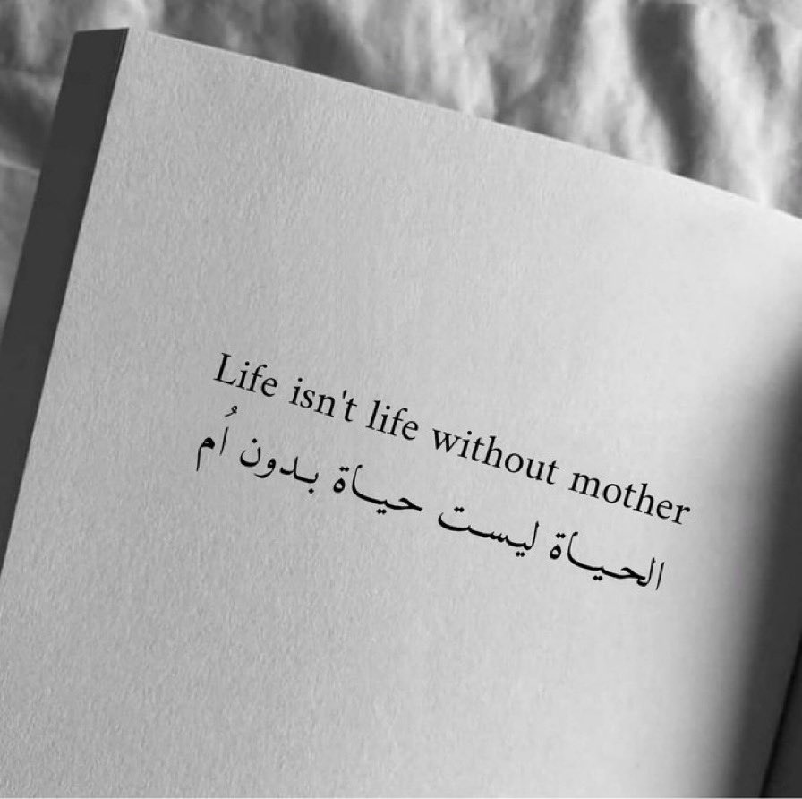 عبارات من كتب. tweet media