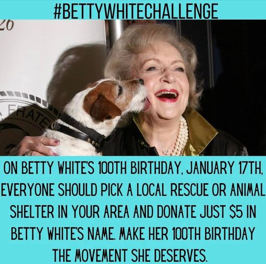 Betty White Twitter