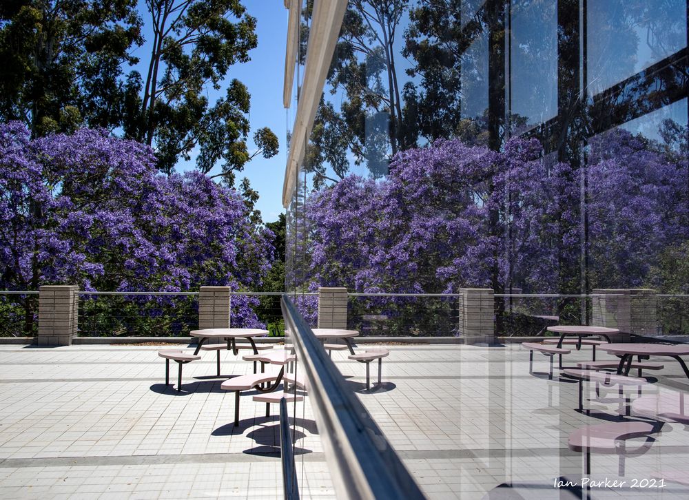 Tallie Z Baram (@z_baram) on Twitter photo Come join us for a Postdoc in California! employ #singlecell transcriptomics #merFISH and functional approaches to early-life #stress effects on #reward #amygdala #PVT. sciencedirect.com/science/articl… frontiersin.org/articles/10.33…
Current folks are getting own labs! <a href="/FENSorg/">FENS</a> <a href="/LisaMonteggia/">Lisa Monteggia</a> Come join us for a Postdoc in California! employ #singlecell transcriptomics #merFISH and functional approaches to early-life #stress effects on #reward #amygdala #PVT. sciencedirect.com/science/articl… frontiersin.org/articles/10.33…
Current folks are getting own labs! <a href="/FENSorg/">FENS</a> <a href="/LisaMonteggia/">Lisa Monteggia</a>