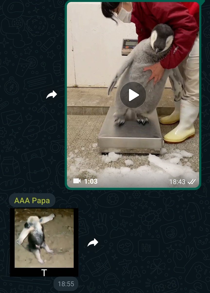 NOOOOOOOO, MI PADRE ACABA DE DESCUBRIR EL SHITPOST