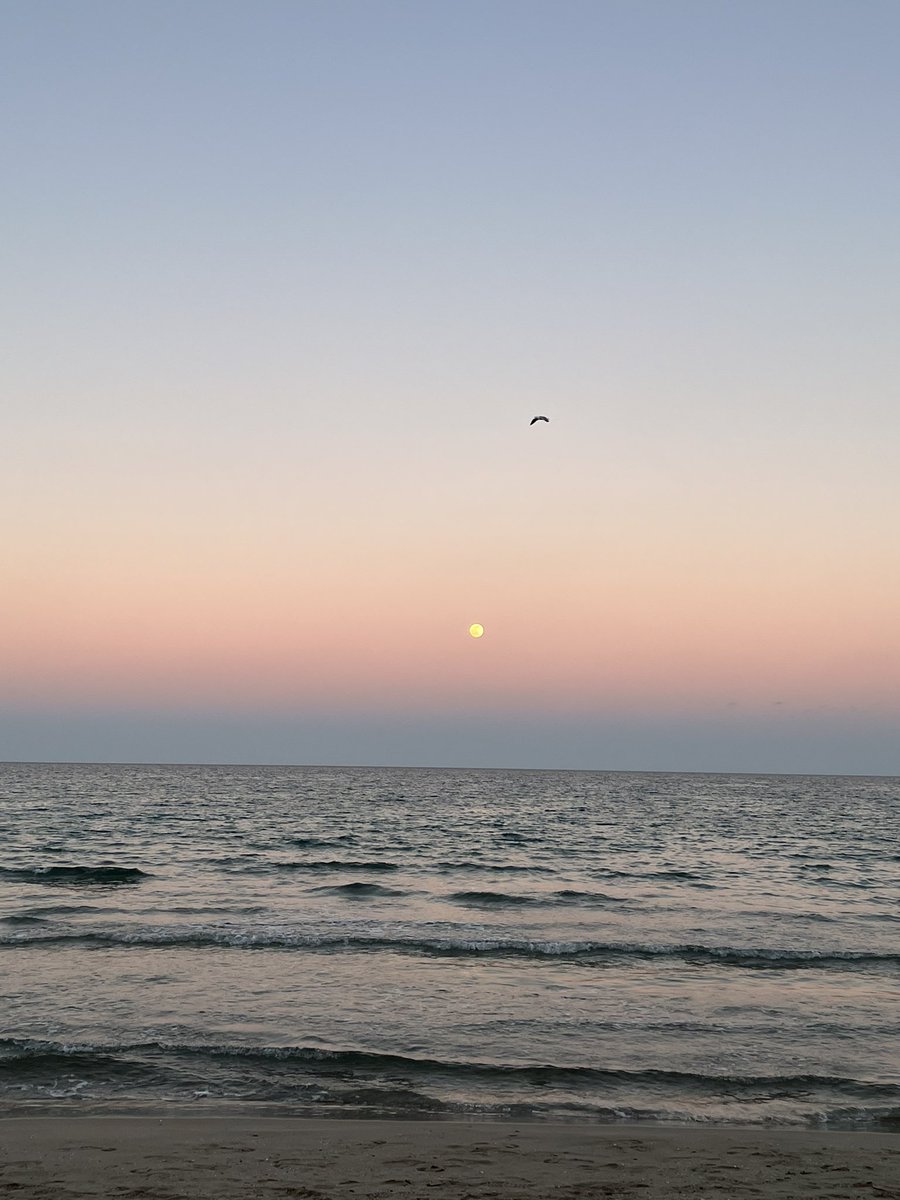 opacarofilia_'s tweet photo. un paseo por la playa te reinicia la vida https://t.co/XrJefUVCJa