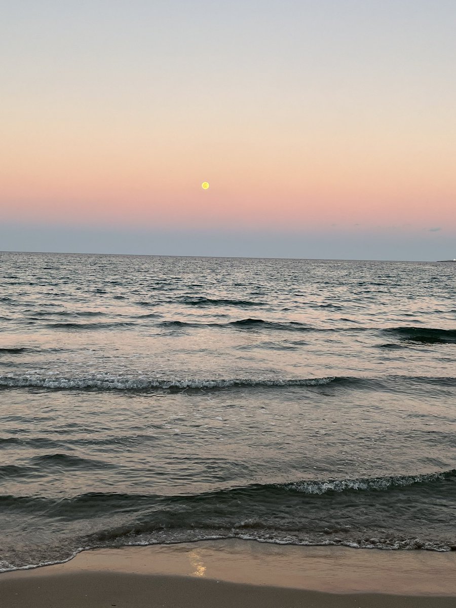 un paseo por la playa te reinicia la vida