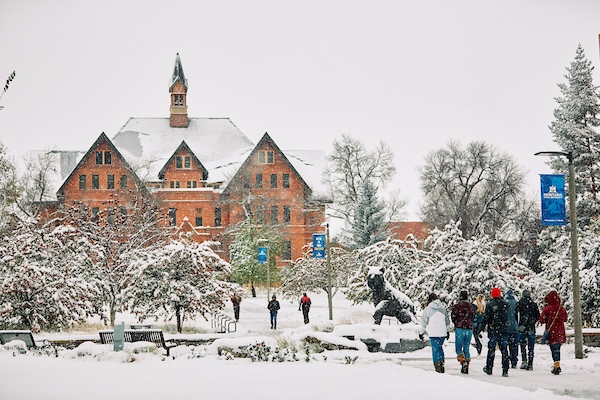 MSU_Grad_School's tweet photo. Spring semester crept up quickly!

Have questions about the Spring semester? Please reach out to our amazing admissions team. 

E-mail: gradschool@montana.edu

#MSUGraduateSchool #Spring2022 #LetsDoThis https://t.co/BdDyX8dPPw