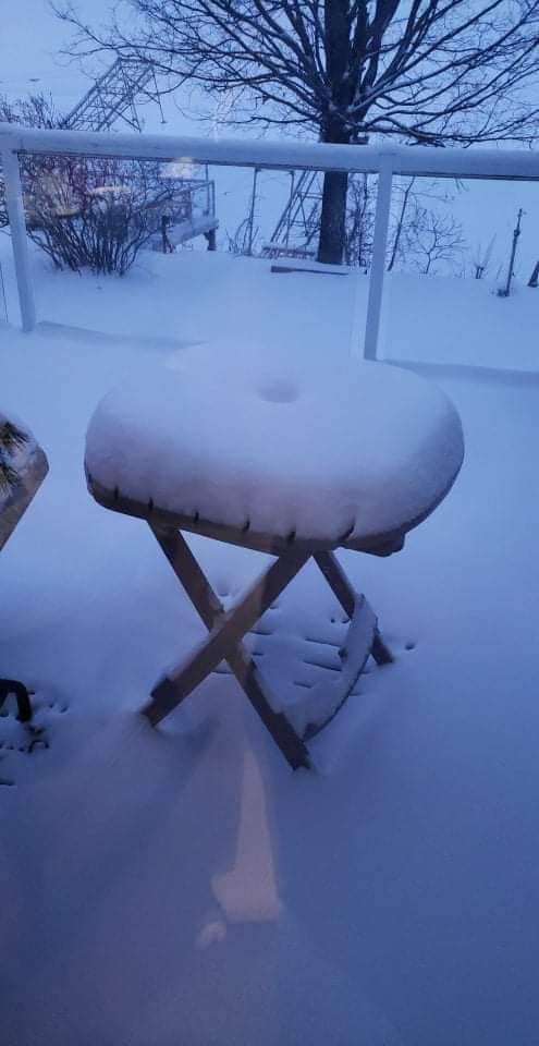 730am (darker pic) and 1230pm Jan 17. Kawartha Lakes. And it's still coming down! <a href="/weathernetwork/">The Weather Network</a> <a href="/IWeatherON/">Instant Weather Ontario ⚡️</a>