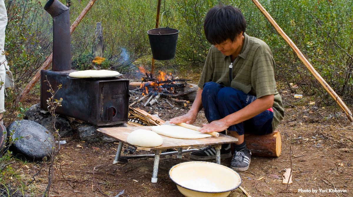 Arctic Council (@arcticcouncil) on Twitter photo #Arctic Indigenous Peoplesā culinary traditions have nourished & enriched communities, bound generations & embodied #sustainability for millennia. Here's how <a href="/SDWG_Chair/">SDWG Chair</a> project EALLU explores Arctic #Indigenous food systems in the face of #climatechange: arctic-council.org/news/eallu-and⦠#Arctic Indigenous Peoplesā culinary traditions have nourished & enriched communities, bound generations & embodied #sustainability for millennia. Here's how <a href="/SDWG_Chair/">SDWG Chair</a> project EALLU explores Arctic #Indigenous food systems in the face of #climatechange: arctic-council.org/news/eallu-andā¦