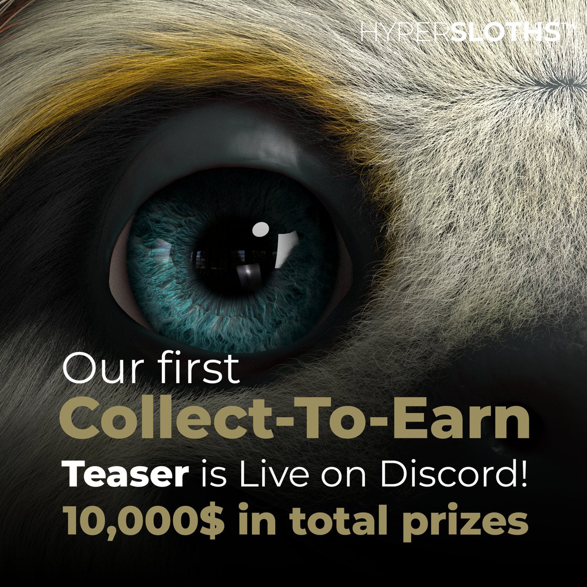 HYPER_SLOTHS's tweet photo. Our first Collect-To-Earn teaser game is live with 10,000$ in prizes! 

Go to the competitions channel on our Discord for more information >>> https://t.co/BPdLaCdHGH 

#nft #hypersloths #C2E #3d #3dart #utility https://t.co/BeTKXR6KgC