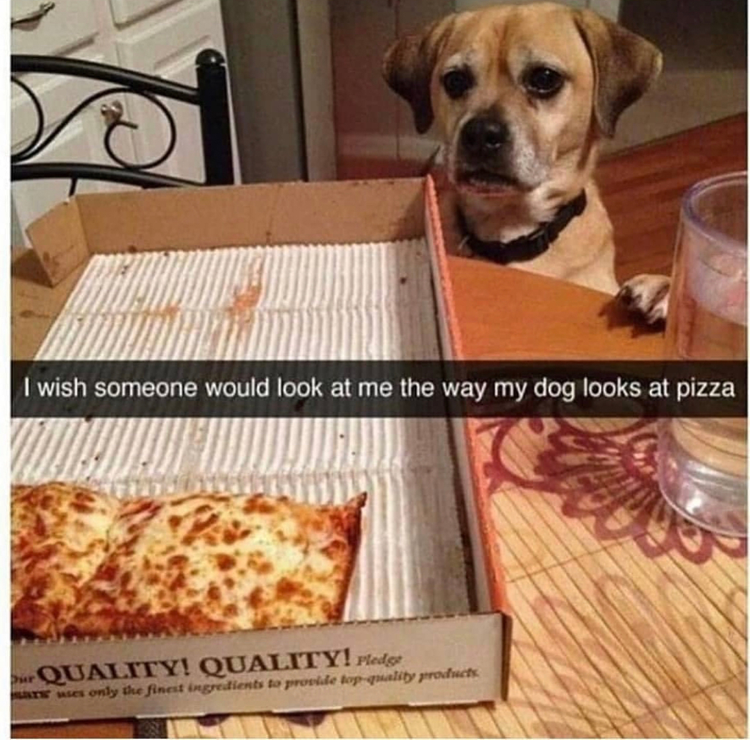 I wish someone would look at me the way my dog looks at pizza. Okay, I don’t have a dog, but I l