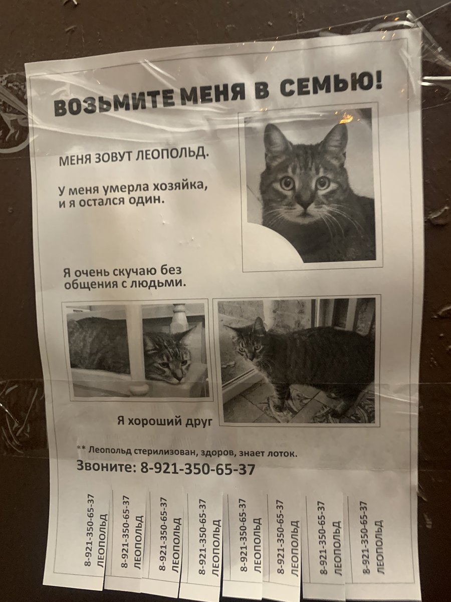 Питер