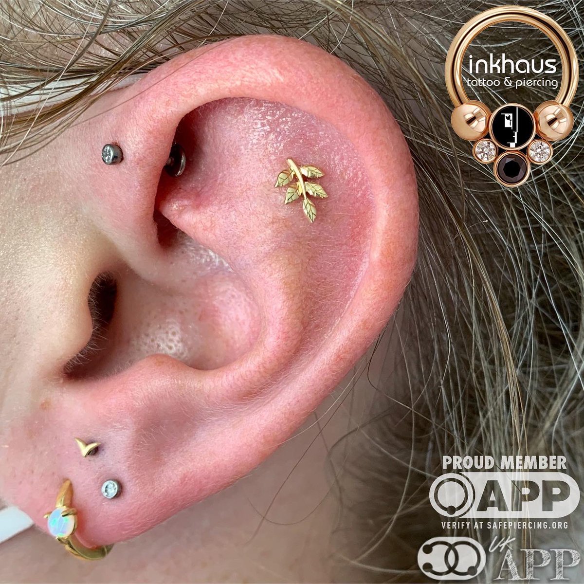 inkhauspiercing's tweet photo. This client came in for a forward helix and #stackedlobe #piercing. She chose a super cute yellow gold ‘wings’ shape from @ANATOMETAL for her stacked lobe and a clear CZ from @NeoMetalJewelry for her #forwardhelix. We also changed her flat to this beautiful Junipurr ‘sprig’ 🌿 https://t.co/bcEfeUPkdX