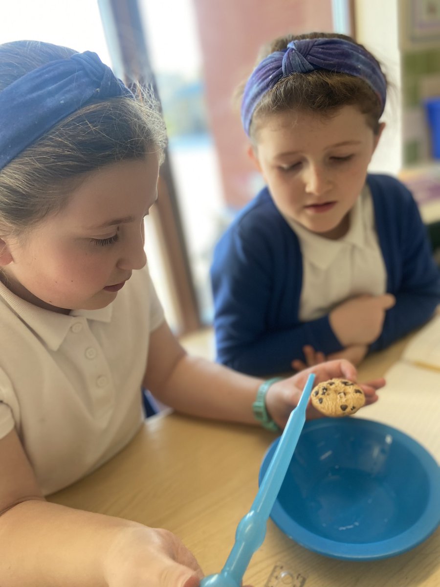 Witham St Hughs Academy (@wshacademy) on Twitter photo Mrs Thwaites’ Year 3 class had a fun afternoon investigating different objects to see if they were permeable or impermeable before applying their knowledge to rocks! 🪨 <a href="/LEADAcadTrust/">L.E.A.D. Academy Trust</a> <a href="/WSHBehaviourHub/">WSHBehaviourHub</a> #primaryscience #teamwitham Mrs Thwaites’ Year 3 class had a fun afternoon investigating different objects to see if they were permeable or impermeable before applying their knowledge to rocks! 🪨 <a href="/LEADAcadTrust/">L.E.A.D. Academy Trust</a> <a href="/WSHBehaviourHub/">WSHBehaviourHub</a> #primaryscience #teamwitham