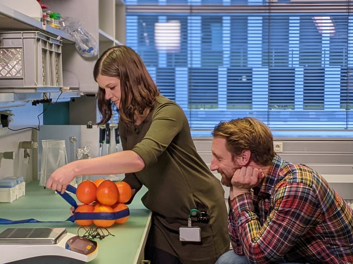 gmivienna's tweet photo. Something was cooking in the house today (only #plant based! 😉)
Stay tuned!
@oeaw @Martin_Moder @AnnaSchmuecker @VBCF_PlantS #WeitblickFilm
#StayTuned #plantbiology #plantresearch #GMIfeature #featurevideo https://t.co/1oBgpLWFwO