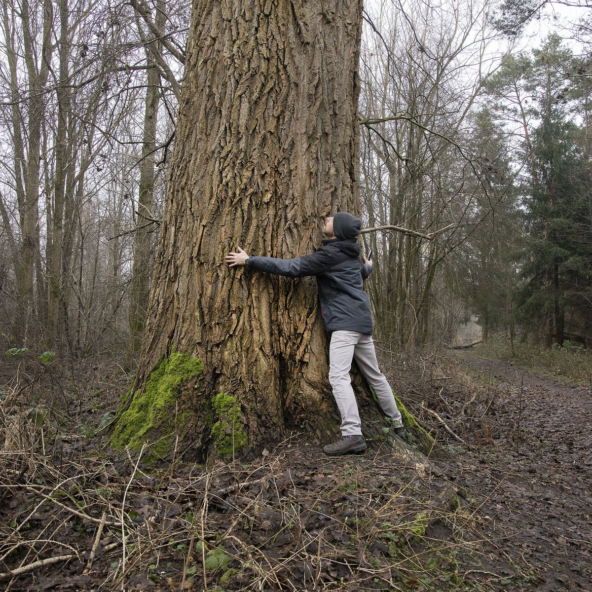 Voor diegene die nieuwsgierig zijn geworden naar de foto die gemaakt is vanaf het zelfgemaakte statief en naar hoe dik de dikste boom van Dronten dan is hierbij de foto. Nadat deze foto gemaakt was kwamen er toch nog een paar voorbijgangers langs die wel op de foto wilden.