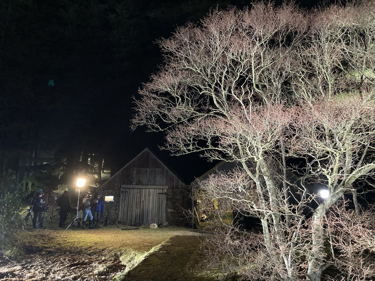 Getting the set ready for tomorrow night. #Winterwatch   <a href="/BBCSpringwatch/">BBC Springwatch</a>