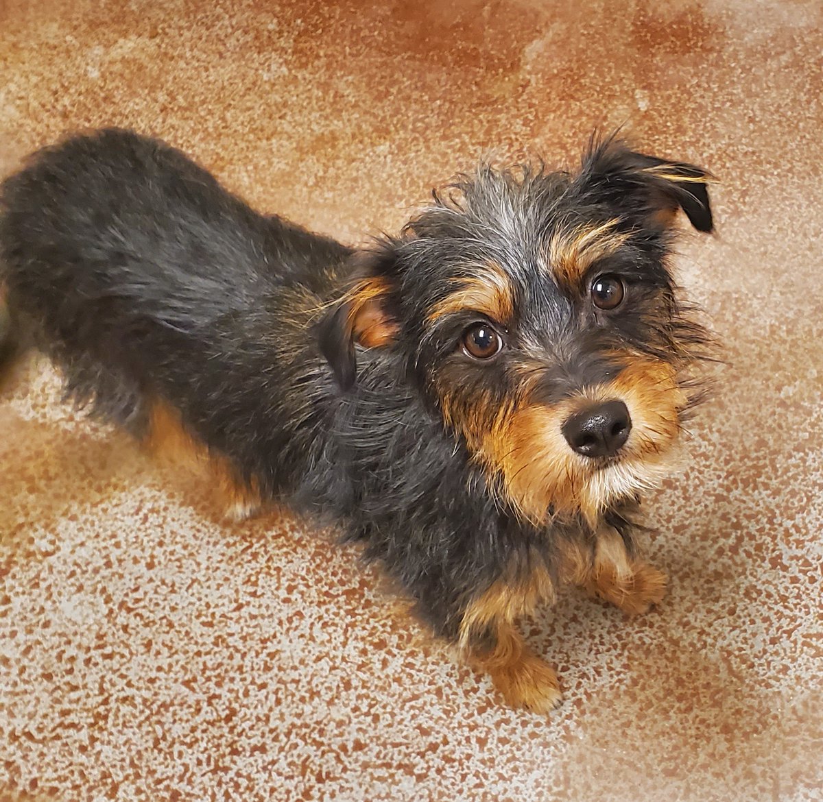 ᴊᴇʜ (ᴊ. ᴇ.) ʙʀᴜᴄᴇ, ꜱᴄɪꜰɪ & ꜰᴀɴᴛᴀꜱʏ ᴀᴜᴛʜᴏʀ tweet media