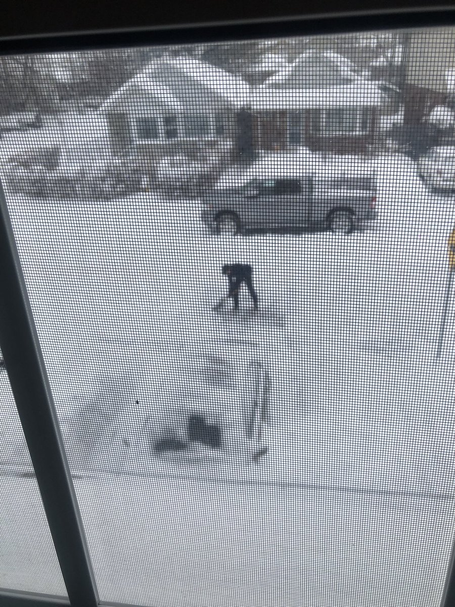 Heidiroseb's tweet photo. Even after a 2.75 hour shift teaching online, my partner still has the energy to shovel the driveway. God bless him and all our teachers. Time to make him some dinner. 🙏🏽 https://t.co/WVScz7MmBF