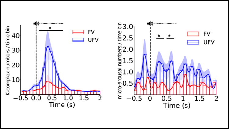 SfN Journals (@sfnjournals) on Twitter photo Your brain pays attention to unfamiliar voices during sleep, according to research in #JNeurosci from <a href="/mo_s_ameen/">Mohamed Ameen</a>, Heib, @christine_blume & <a href="/ManuelSchabus/">Manuel Schabus</a>. The ability allows the brain to balance sleep with responding to environmental cues. jneurosci.org/lookup/DOI/10.… Your brain pays attention to unfamiliar voices during sleep, according to research in #JNeurosci from <a href="/mo_s_ameen/">Mohamed Ameen</a>, Heib, @christine_blume & <a href="/ManuelSchabus/">Manuel Schabus</a>. The ability allows the brain to balance sleep with responding to environmental cues. jneurosci.org/lookup/DOI/10.…
