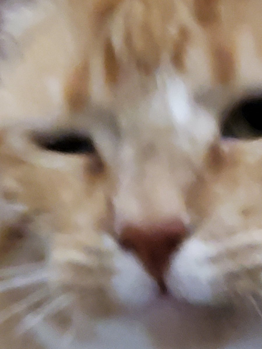 TormundTheTiny's tweet photo. Do i look Cool https://t.co/igqxVNTcUT