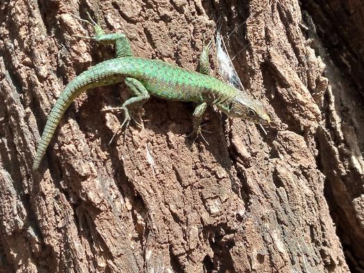 NJERI CHEGE tweet media