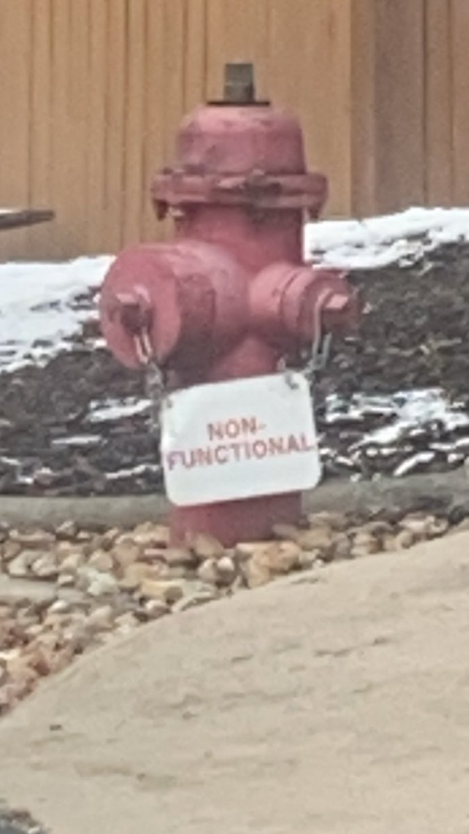 blahmaxblah🤡 (@madsmargret) on Twitter photo 