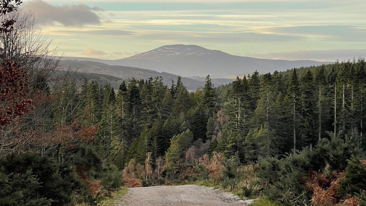 m66sdd's tweet photo. Morven looking from mortlich #morven #mortlich #visitabdn #visitaberdeen #abedeenshire https://t.co/vdowwTJ21C
