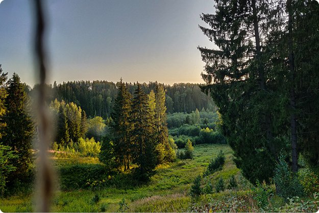 Onze 9 topredenen om te vrijwilligen in 🌲 Estland - mailchi.mp/bouworde/9-top…