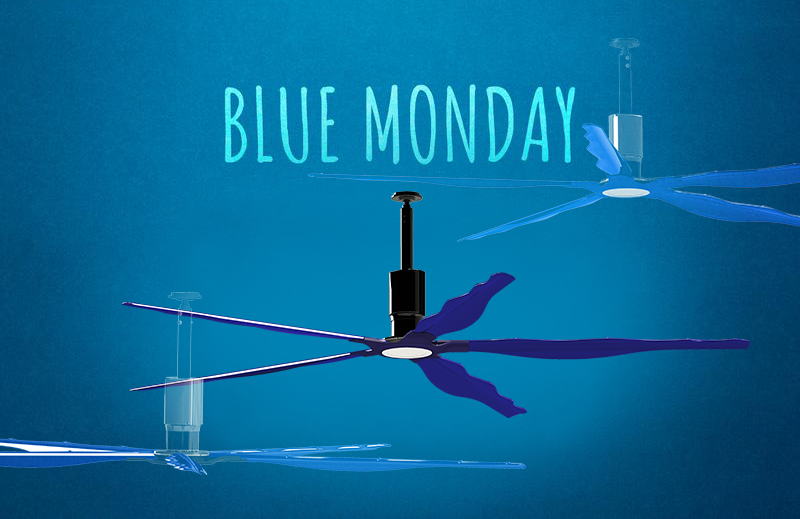 EnviraNorth's tweet photo. Has #BlueMonday got you down? Hopefully we can "Jazz It Up" for you!😉https://t.co/SUeLTyxtzx #Jazz #JazzFans #JazzCeilingFans #HVLSFans #EnviraNorth #CeilingFans #HVLS #BlueFans https://t.co/aQHr4CKsTy