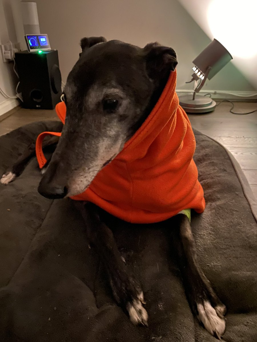 avantbrown's tweet image. 13 teeth taken out today - such a brave boy… time for some tlc #braveboy #gaptooth