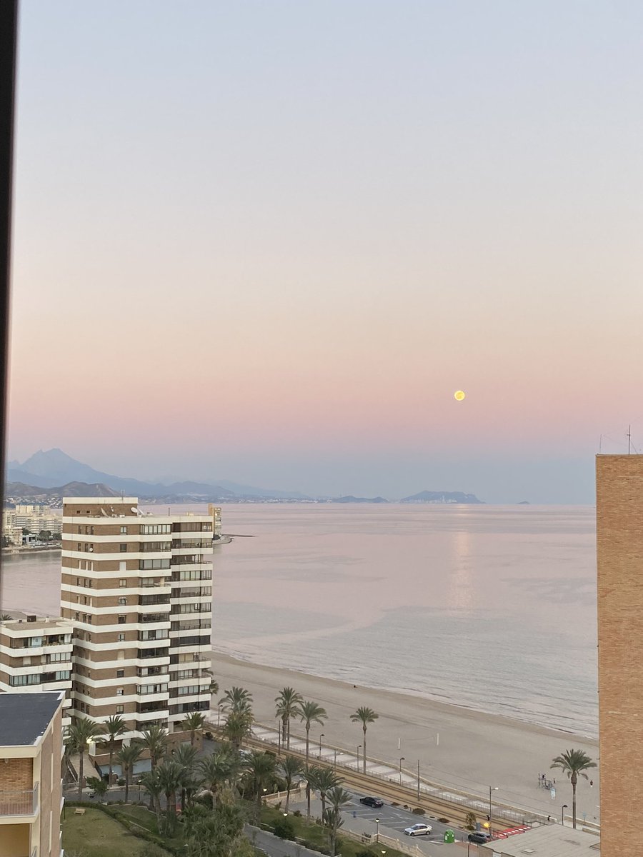 oall__'s tweet photo. no hay nada más bonito 🌙 https://t.co/epvelFim3R