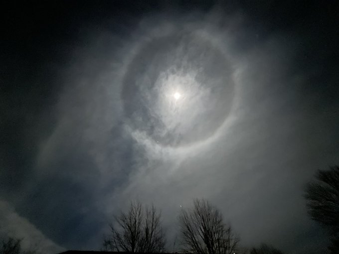 moon_violet