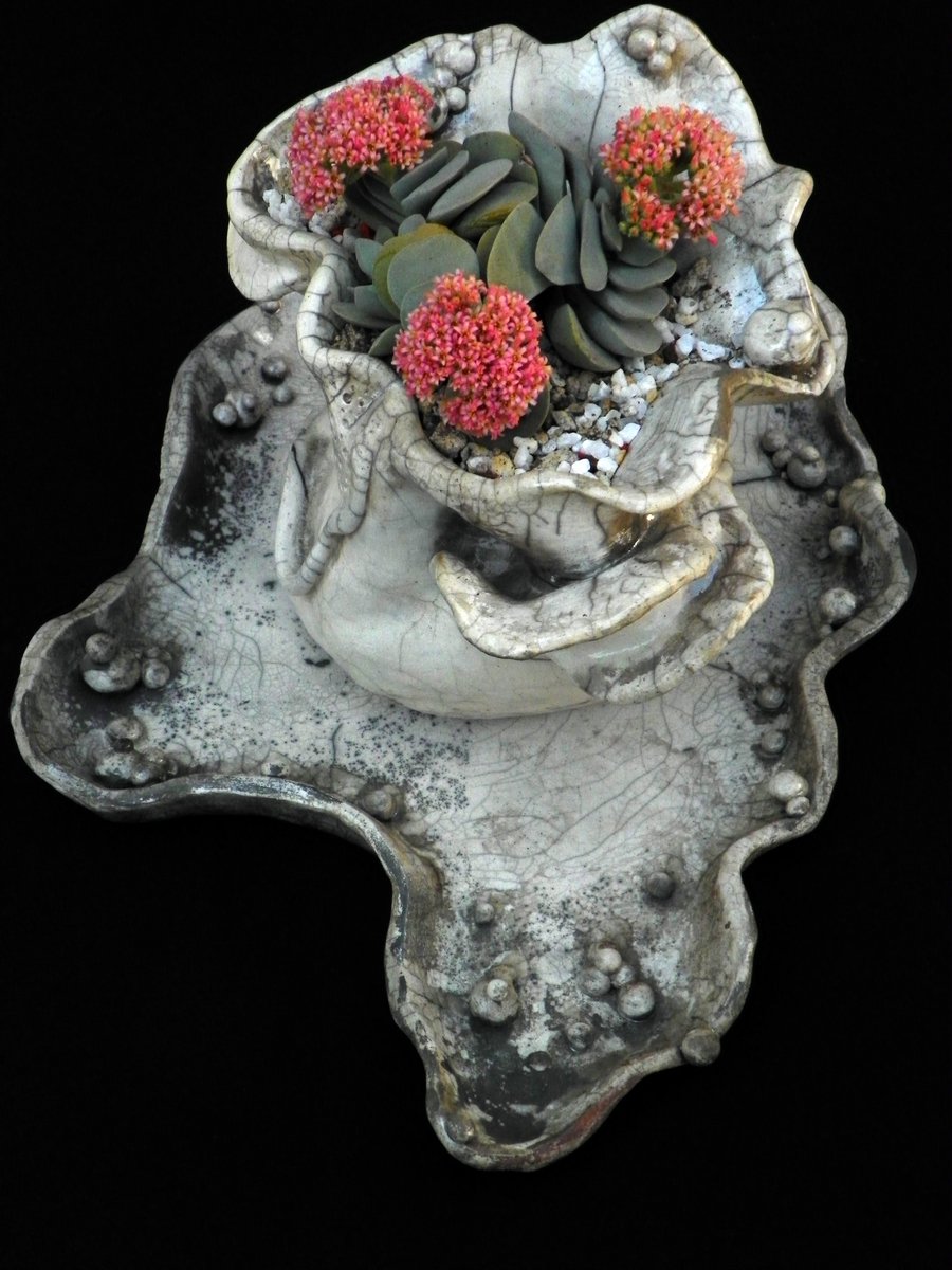 UDebrodt's tweet photo. I really love making #sculptures in #ceramics
making organic shapes in it and I love plants and see how they grow . This work is made in ceramic #raku with an exotic plant called #cassula morgan beuty And it looks great in my house !
#rakuceramic #NFTCommunity https://t.co/b3QREtwkMa