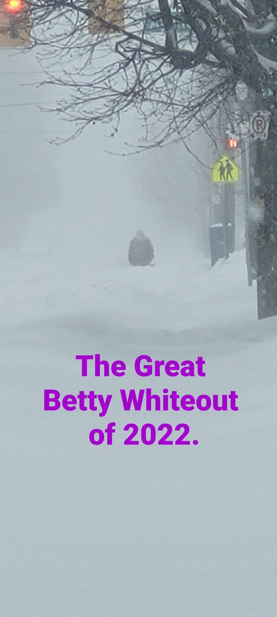 DogsNiagara's tweet photo. #BettyWhiteChallenge

Still time to donate on this snowy day!  Let’s come together to make Betty’s birthday extra special by donating just $5 in her name. Happy Birthday, Betty! 

Honour Betty at
 https://t.co/T1g7lSQyPS https://t.co/iDYKVuqj9B